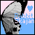 rabbit_skajan