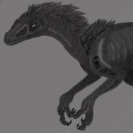 Velociraptor by Lordi18