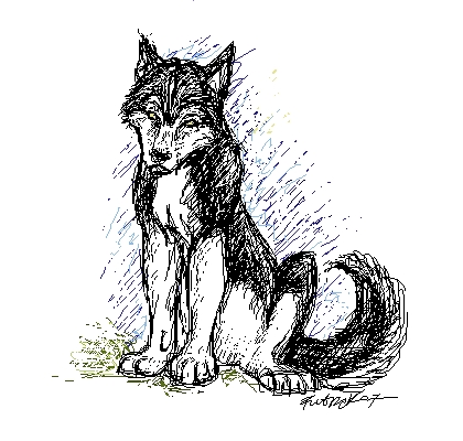 BlackWolf by Pinka91 - 21:01, 18 Apr 2007