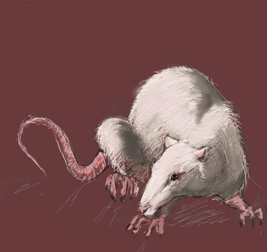 stefan - the rat by banshee - 18:35,  2 Jul 2007