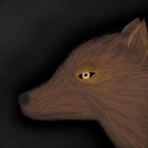 wolf by Electra - 14:02, 16 Aug 2007