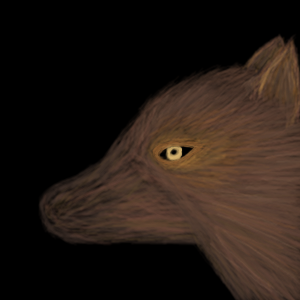 wolf by Electra - 14:02, 16 Aug 2007