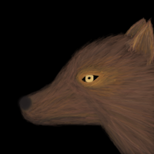 wolf by Electra - 14:02, 16 Aug 2007