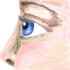 syrenie oko by sailormary
