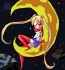 Sailor onthe Moon :D by javvie