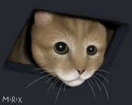 Ceiling cat by Mirix