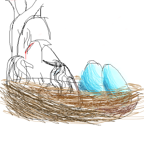 unfinished nest by Itchy_Foot - 04:30, 10 Aug 2008