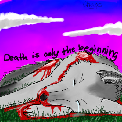 Death Is Only the Beginning by Chaos-Wolf - 02:58, 25 Nov 2008