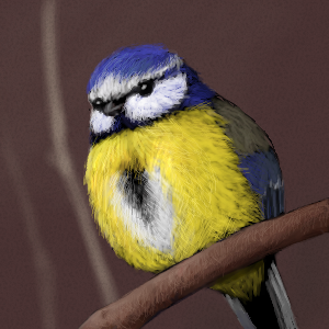 blue tit by osiem - 14:24,  6 Mar 2009