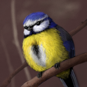 blue tit by osiem - 14:24,  6 Mar 2009