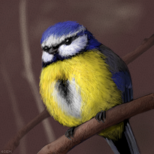 blue tit by osiem - 14:24,  6 Mar 2009