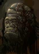 ape by falk