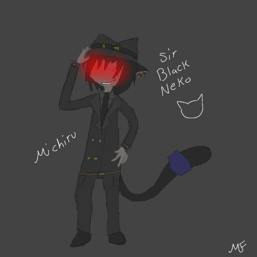 Michiru the Sir Black Neko by KulockDarkness - 00:58, 13 Feb 2010