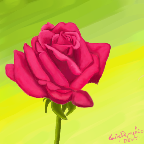 pink rose by kutedymples - 04:48,  1 May 2010