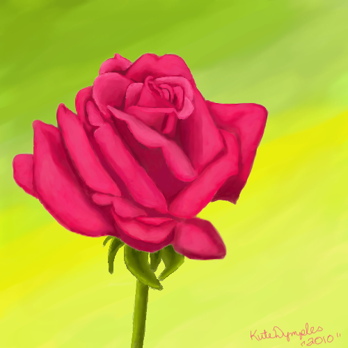 pink rose by kutedymples - 04:48,  1 May 2010