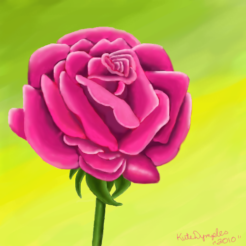 pink rose by kutedymples - 04:48,  1 May 2010