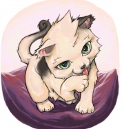 a lil kitty by JohnDoe