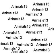 Animals13 itd... by animals13