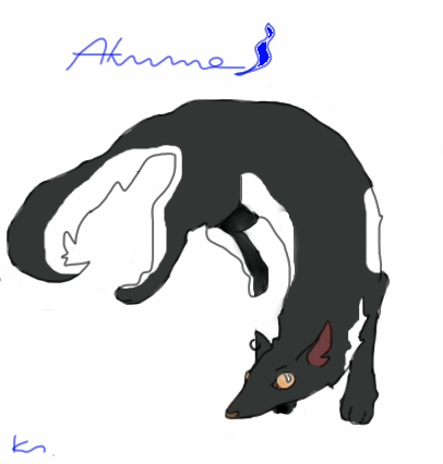 Akuma by Mal-chan - 14:55,  6 Jul 2010