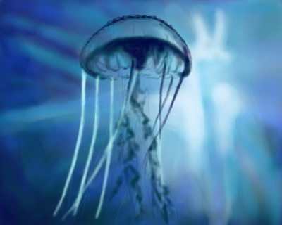 jelly by aneska - 14:24,  2 Mar 2011