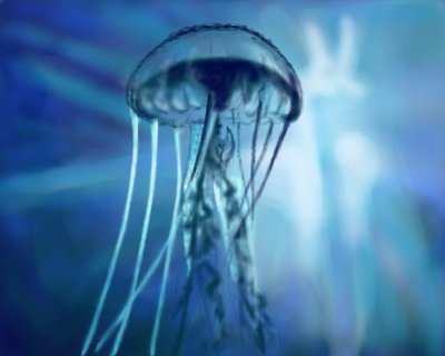 jelly by aneska - 14:24,  2 Mar 2011