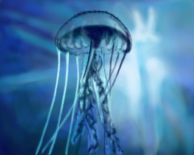 jelly by aneska - 14:24,  2 Mar 2011